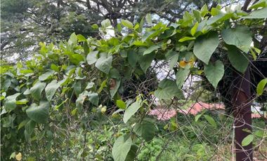 Venta de terreno en La Loma (Pueblo Nuevo) GTA