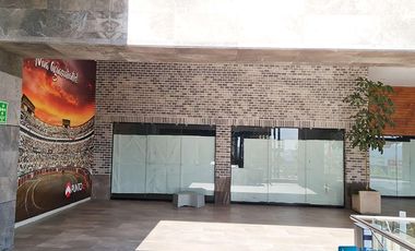 LOCAL EN RENTA 210 PUNTO 45 325 M2 AGS AGS