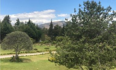 QUINTA EN VENTA PUEMBO 10.400 M2 JARDINES RESERVORIO EXCELENTE SECTOR