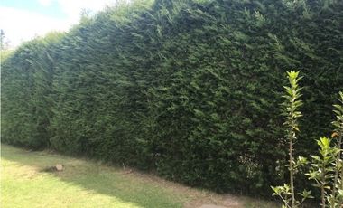 QUINTA EN VENTA PUEMBO 10.400 M2 JARDINES RESERVORIO EXCELENTE SECTOR