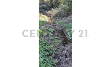 EN VENTA TERRENO 2.9 HA, CONFLUENCIA, QUILLÓN