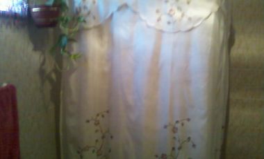 CASA EN BUEN ESTADO CON UN DEPARTAMENTO INDEPENDIENTE EN SU FRENTE