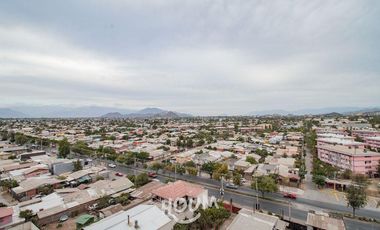 Departamento Lo blanco (el bosque) ID: 167150r