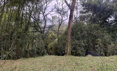 Casa campestre en alquiler Chorro de Plata. Cod A9716