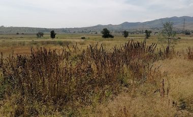 TERRENO EN  RENTA COYOTEPEC