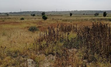 TERRENO EN  RENTA COYOTEPEC