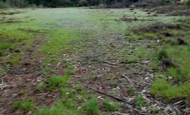 Sitio en venta en Coronel