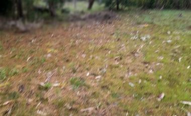 Sitio en venta en Coronel