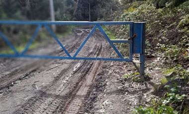 Sitio en venta en Coronel