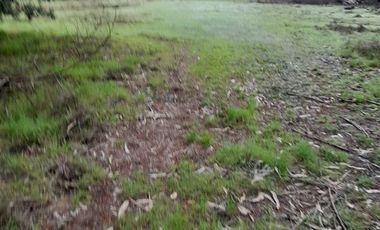 Sitio en venta en Coronel