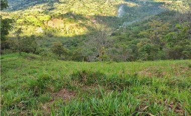 Maat vende Lote Quebrada Honda-Villeta. 64.000 m2 $650 Millones
