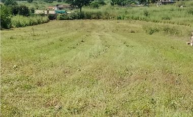 TERRENO EN VENTA A BORDO DE CARRETERA 