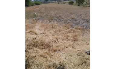 TERRENO EN VENTA A BORDO DE CARRETERA 
