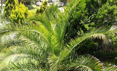 Magnifica propiedad en Pinamar.