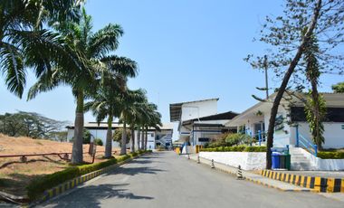 Terreno - Norte de Guayaquil