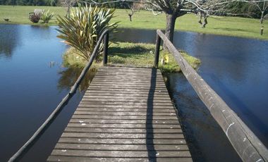 Espectacular quinta, 5 ambientes en dos plantas, Ezeiza