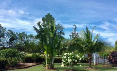 Casa en Distrito Aguadulce  Cocle