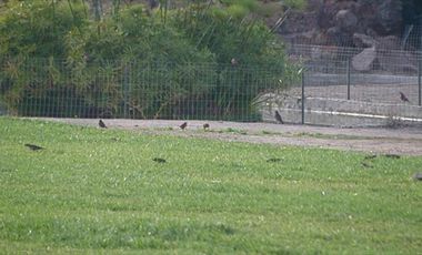 Casa en Venta en  VALLE LOS NARANJOS