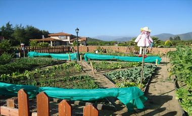 Casa en Venta en  VALLE LOS NARANJOS