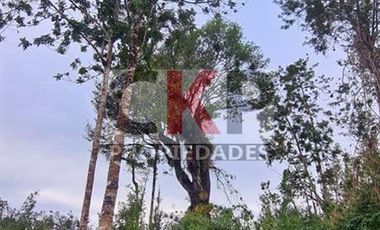 Parcela en venta en Los Muermos