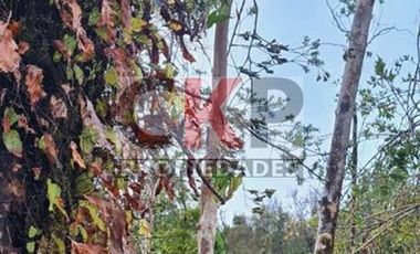 Parcela en venta en Los Muermos