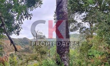 Parcela en venta en Los Muermos