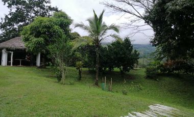 finca en venta en seleccionar barrio. Cod V6860039
