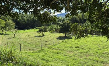finca en venta en seleccionar barrio. Cod V6860039