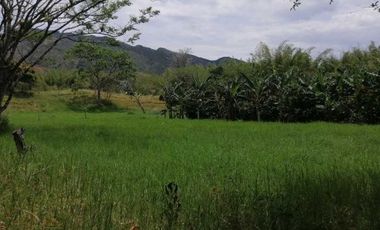 finca en venta en seleccionar barrio. Cod V6860039