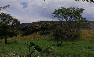 finca en venta en seleccionar barrio. Cod V6860039