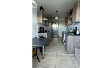 CURAUMA / BOSQUE REAL VI / 3D 3B 2E