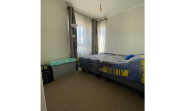 CURAUMA / BOSQUE REAL VI / 3D 3B 2E