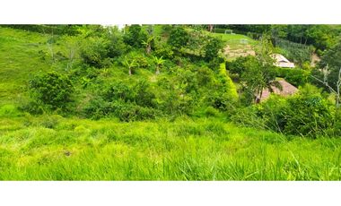 VENTA LOTE EN VENECIA, SUROESTE ANTIOQUEÑO