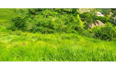 VENTA LOTE EN VENECIA, SUROESTE ANTIOQUEÑO