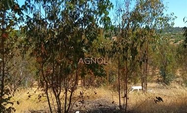 Parcela en Venta en Brisas de Topocalma