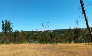 Parcela en Venta en Brisas de Topocalma