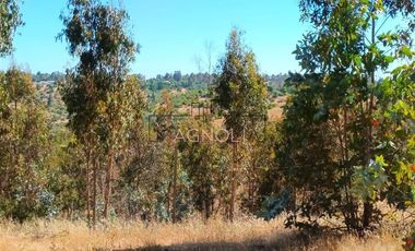 Parcela en Venta en Brisas de Topocalma