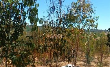 Parcela en Venta en Brisas de Topocalma