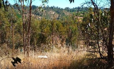 Parcela en Venta en Brisas de Topocalma