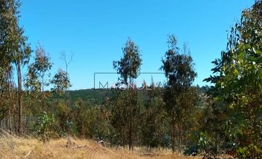 Parcela en Venta en Brisas de Topocalma