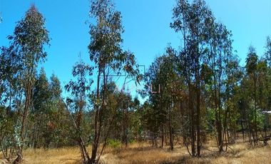 Parcela en Venta en Brisas de Topocalma