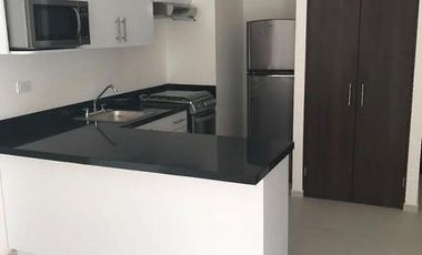 Departamento En Renta y en venta