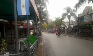 DEPARTAMENTO EN PLENO CENTRO. SOBRE PEATONAL. DOS DORMITORIOS