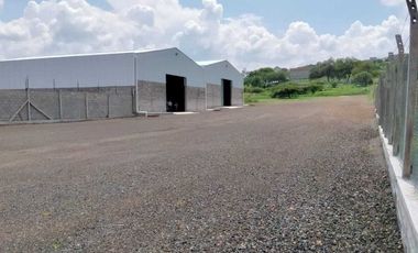 TERRENO CON BODEGAS EN RENTA SALIDA SALAMANCA $336,950.000