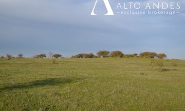 Sitio en Venta en 