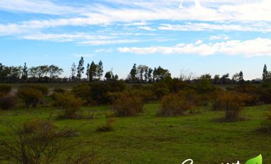Sitio en Venta en 