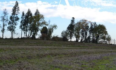 Sitio en Venta en 