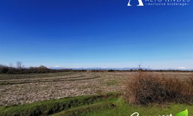 Sitio en Venta en 