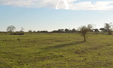 Sitio en Venta en 