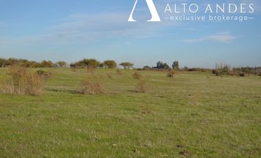 Sitio en Venta en 
